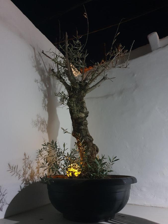 Casa Delaluz Villa Altea Eksteriør billede